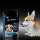  Hạt Cho Chó EQUILIBRIO (Châu Âu) 2KG - Đủ Loại 