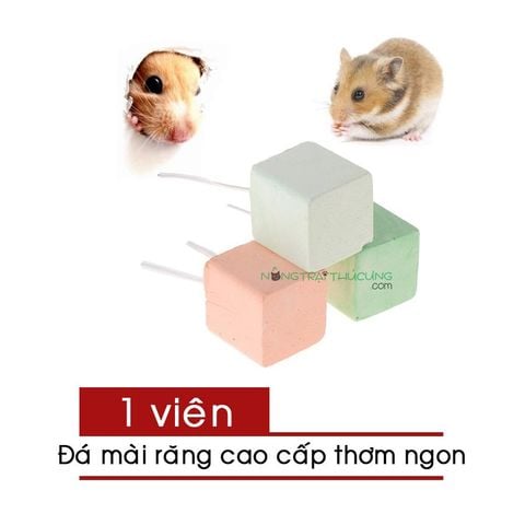  Đá Mài Răng Cho Hamster Thơm Ngon (1 viên) 