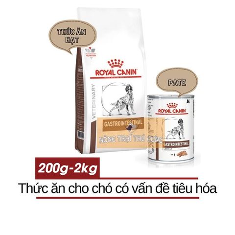  Hạt Cho Chó ROYAL CANIN GASTROINTESTINAL CANINE GẶP VẤN ĐỀ TIÊU HÓA 