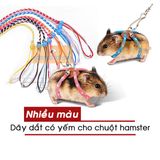  Dây Dắt Hamster, Thỏ, Bọ 