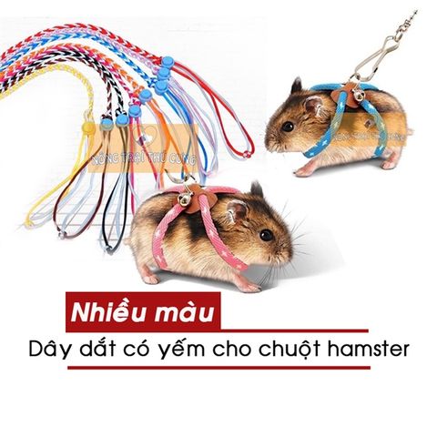  Dây Dắt Hamster, Thỏ, Bọ 