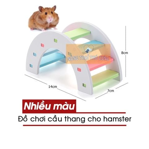  Cầu Thang Cho Hamster - Gỗ Cầu Vồng (7 bậc và 5 bậc) 