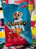  [Mẫu Thử 100g] Hạt Cho Chó Lớn Ganador Vị Bò Nướng 