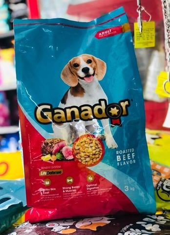  [Mẫu Thử 100g] Hạt Cho Chó Lớn Ganador Vị Bò Nướng 