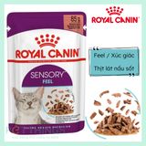  Pate Royal Canin Sensory (Đánh Thức Giác Quan) Cho Mèo Kén Ăn 85gr 
