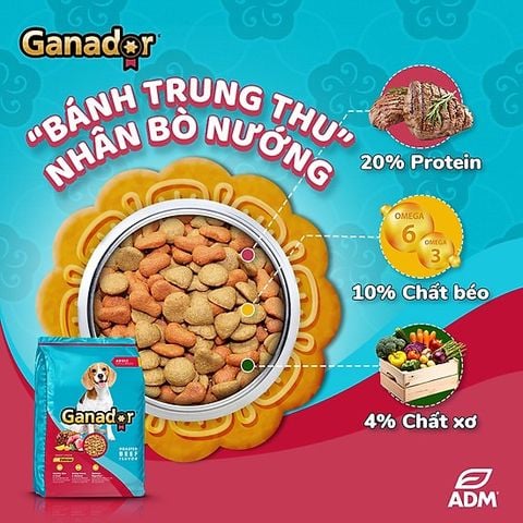  [Mẫu Thử 100g] Hạt Cho Chó Lớn Ganador Vị Bò Nướng 