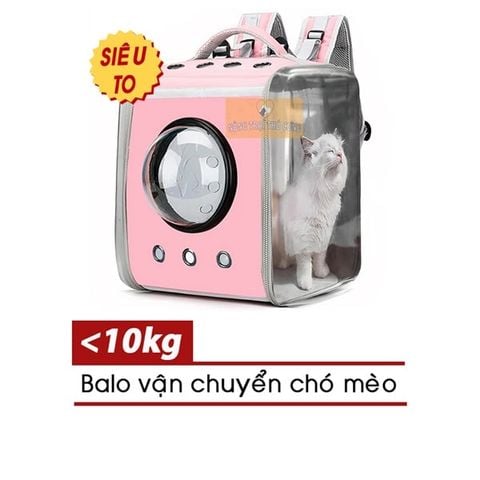  Balo Vuông Vận Chuyển Chó Mèo Siêu Lớn Trong Suốt (Dưới 10kg) 