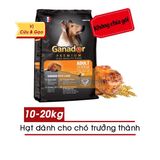  Hạt Cho Chó Trưởng Thành Ganador Cừu & Gạo -10/20KG 