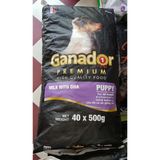  Hạt Chó GANADOR PUPPY - Vị DHA và Sữa 20KG 