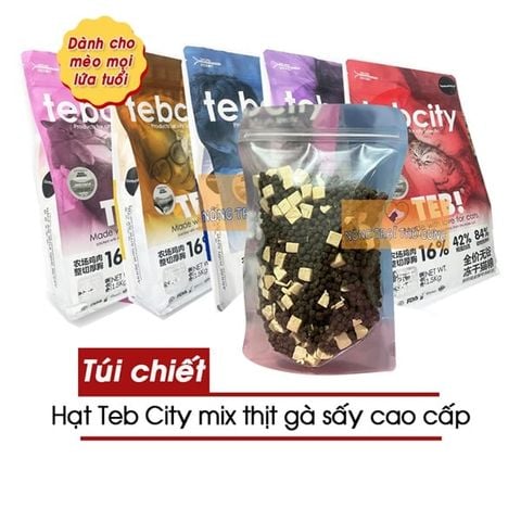  [TÚI 1KG CHIA] Hạt Cho Mèo Mix Thịt Sấy TEB City (Series Cao Cấp) - Đủ Vị 