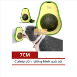  Đồ Chơi Cỏ Mèo Catnip Hình Trái Bơ Giúp Mèo Thư Giản, Tiêu Búi Lông 