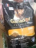  [Thanh lý ] Hạt Ganador 3kg 