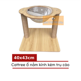  Cattree Bằng Gỗ Cho Mèo Có Vòng Kính Và Trụ Cào Móng 