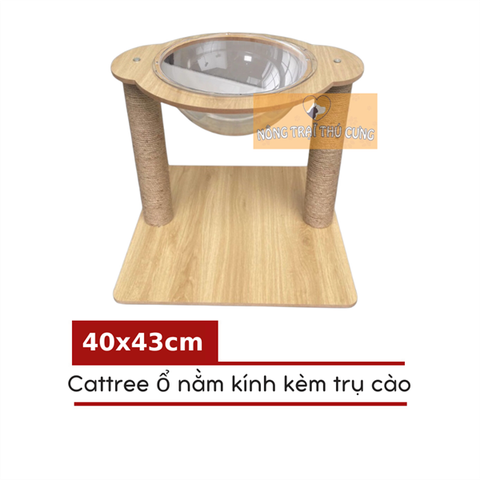  Cattree Bằng Gỗ Cho Mèo Có Vòng Kính Và Trụ Cào Móng 