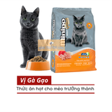 Hạt Mèo MININO PLUS - Vị Gà Cá & Gạo - 350g/1.5kg 