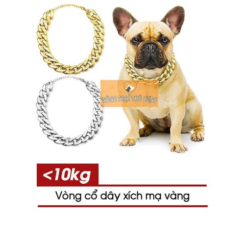  Vòng cổ xích mạ vàng siêu cute cho chó mèo dưới 10kg 