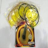 Dây đàn Guitar Classical Alice A107 