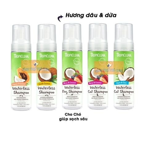  Dầu Tắm Khô Hữu Cơ Organic Cho Chó Mèo TropiClean 220ml (USA) 