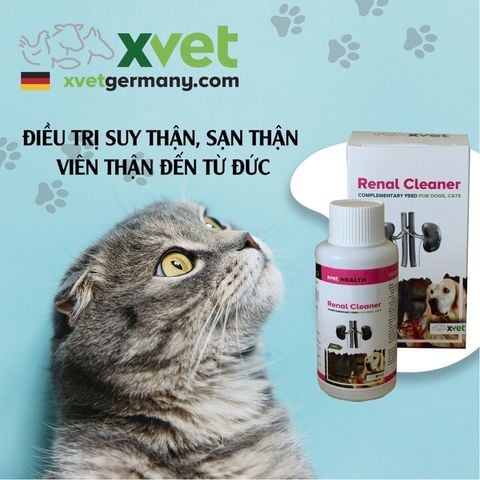  Siro Bổ Thận Kidney Cleaner 50ml - Hỗ Trợ Điều Trị Suy Thận, Sỏi Thận, Phục Hồi Chức Năng Thận Chó Mèo - Xuất Xứ Đức 