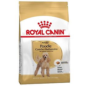  Hạt Chó lớn ROYAL CANIN POODLE ADULT - 500g/1.5kg 