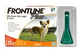  Thuốc Nhỏ Gáy Trị Ve và Bọ Chét Trên Chó FRONTLINE PLUS DOG 