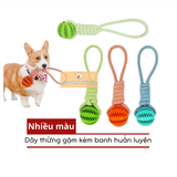  Đồ Chơi Nhai Gặm Bằng Dây Thừng Kèm Banh - Huấn Luyện Thú Cưng 