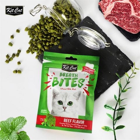  Bánh Snack Cho Mèo Kitcat Thơm Miệng, Sạch Răng - Kitcat Breath Bites 60g 