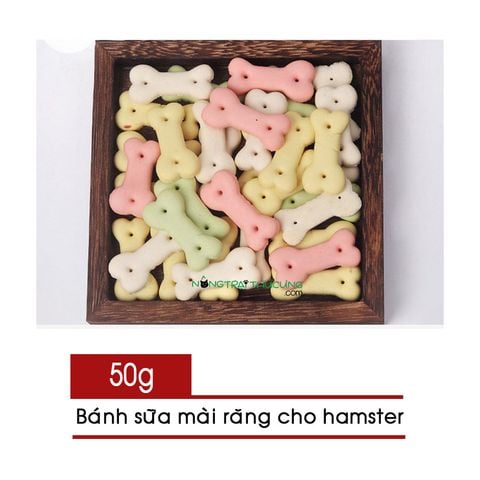 Cookie sữa cho Hamster - Bánh sữa mài răng - 50gr 