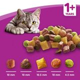  [1KG Re-pack] Hạt cho Mèo Lớn Whiskas Vị Cá Biển 