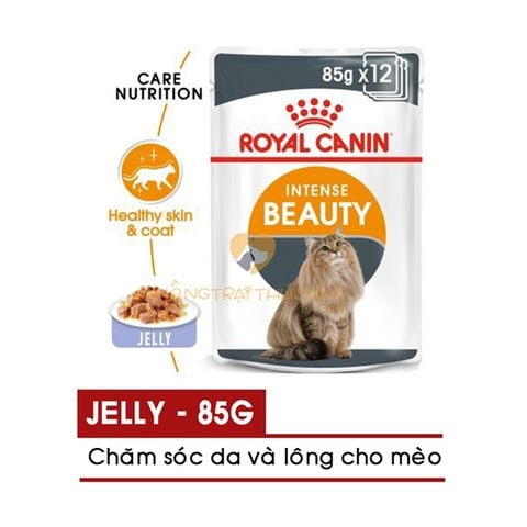  Pate cho mèo ROYAL CANIN INTENSE BEAUTY JELLY (chăm sóc da lông khỏe mạnh) 85gr 