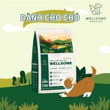  Hạt Cho Chó Mèo Dị Ứng Wellsome - Giảm Chảy Nước Mắt, Tăng Sức Khỏe Xương Khớp (Hàn Quốc) 