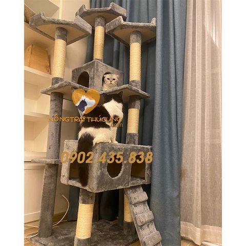  Cat Tree - Nhà Cây Cho Mèo Kèm Trụ Cào Móng - Mã LZ0148 - CT00016 