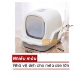  Nhà Vệ Sinh Cho Mèo Size Lớn (Vỏ Sò) 38x49x41cm - Tặng Kèm Xẻng 