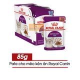 Pate Royal Canin Sensory (Đánh Thức Giác Quan) Cho Mèo Kén Ăn 85gr 