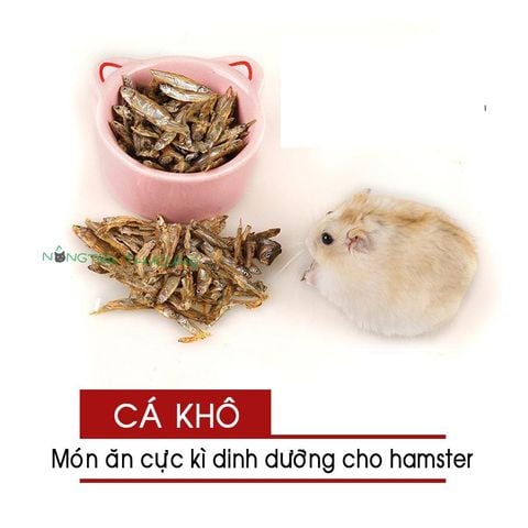  Cá khô dinh dưỡng cho Hamster, Bọ, Nhím 