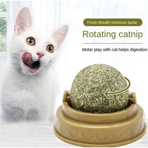  Cục Tròn Catnip Cỏ Bạc Hà Cho Mèo - Loại Dán Tường 