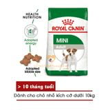  Hạt Chó ROYAL CANIN MINI ADULT - 800gr/2kg/8kg 