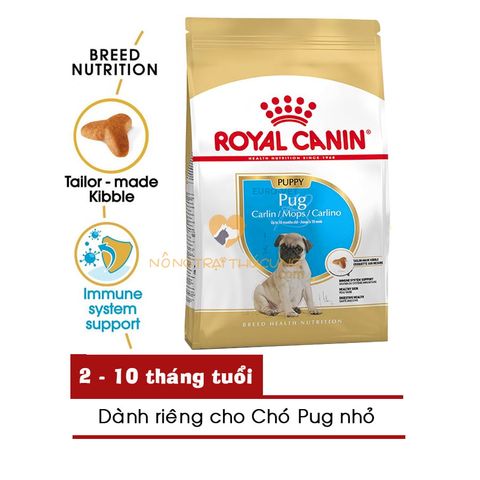  Hạt Chó ROYAL CANIN PUG PUPPY/ADULT - 500gr/1.5kg 