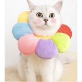  Vòng Chống Liếm Hình Bông Hoa Nhiều Size 