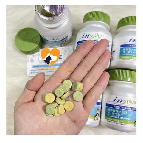  Viên Bổ Sung Vitamin Cho Chó IN PLUS MULTI VITAMIN (USA) 