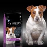  Hạt Cho Chó EQUILIBRIO (Châu Âu) 2KG - Đủ Loại 