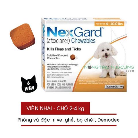  Thuốc nhai NexGard Trị Viêm Da, Ve, Ghẻ, Bọ Chét Trên Chó 