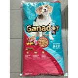  Hạt Chó GANADOR ADULT - Vị bò 20KG 