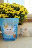  [MUA 1 TẶNG 2] Hạt Cho Mèo Trưởng Thành Aatas Gourmer Delight 1.2kg - [Nông Trại Thú Cưng] 