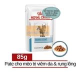  Pate Cho Mèo ROYAL CANIN SKIN & COAT 85gr - PATE HỖ TRỢ MÈO BỊ VIÊM DA VÀ RỤNG LÔNG 