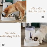  Máy Cho Ăn/Uống Tự Động Dành Cho Chó Mèo - Nhiều Màu 