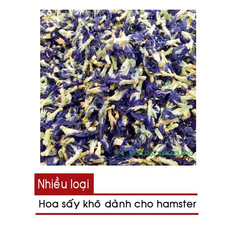  Hoa sấy khô Hamster - Hoa Đậu Biếc/Hoa Cúc 