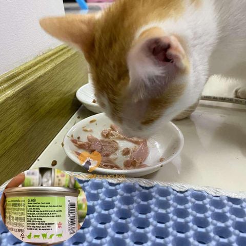  Pate Mèo MeoWow Hàn Quốc Lon 80gr - ĐỦ 6 VỊ - Pate Mèo mọi lứa tuổi 