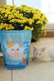  [MUA 1 TẶNG 2] Hạt Cho Mèo Trưởng Thành Aatas Gourmer Delight 1.2kg - [Nông Trại Thú Cưng] 