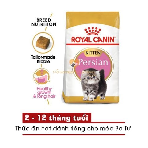  Hạt Mèo Ba Tư ROYAL CANIN PERSIAN KITTEN 400g/2kg 